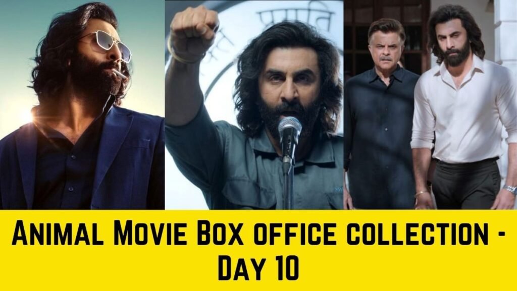 Animal Movie Box Office Collection Day 10