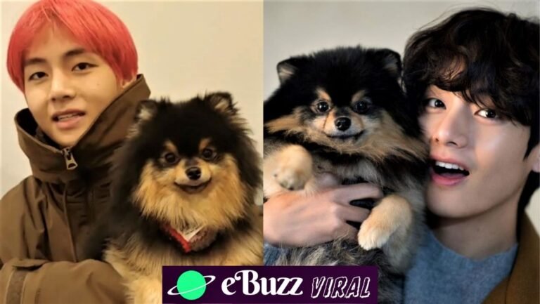 Tannie aka Yeontan The Cute Pomeranian from BTS' V